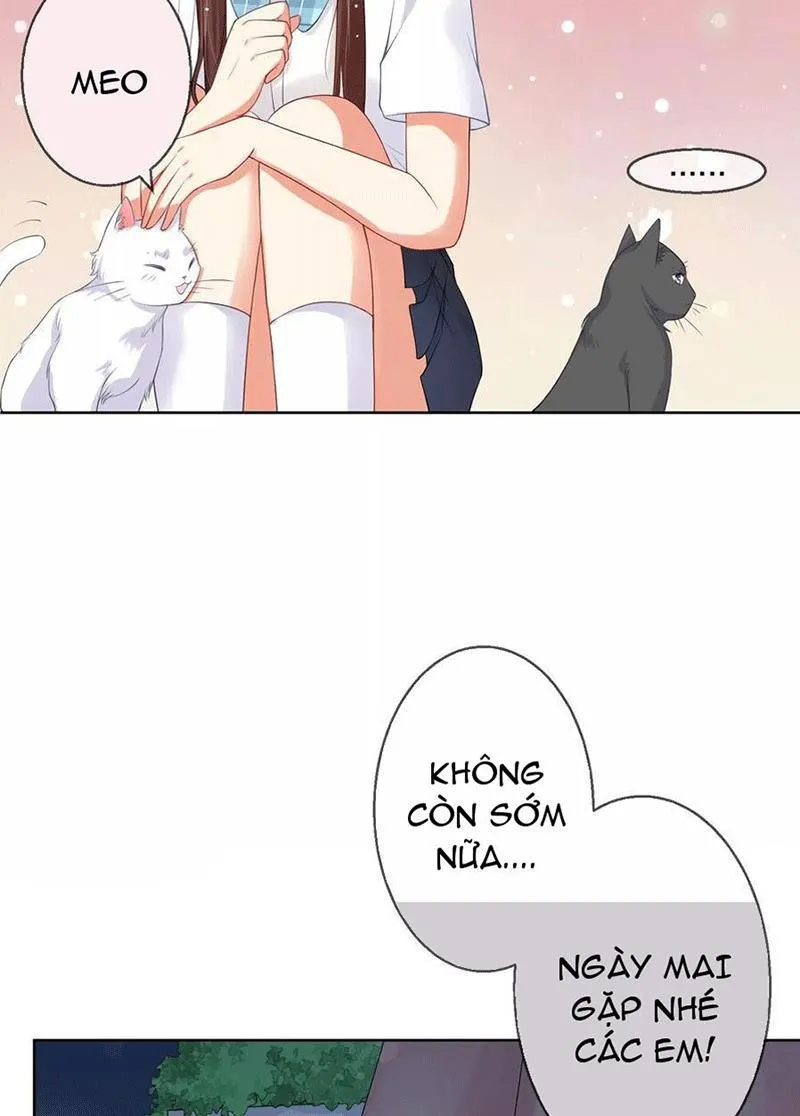 Bạn Cùng Bàn Của Tôi Nổi Tiếng Là Mèo Chapter 5 - Trang 41