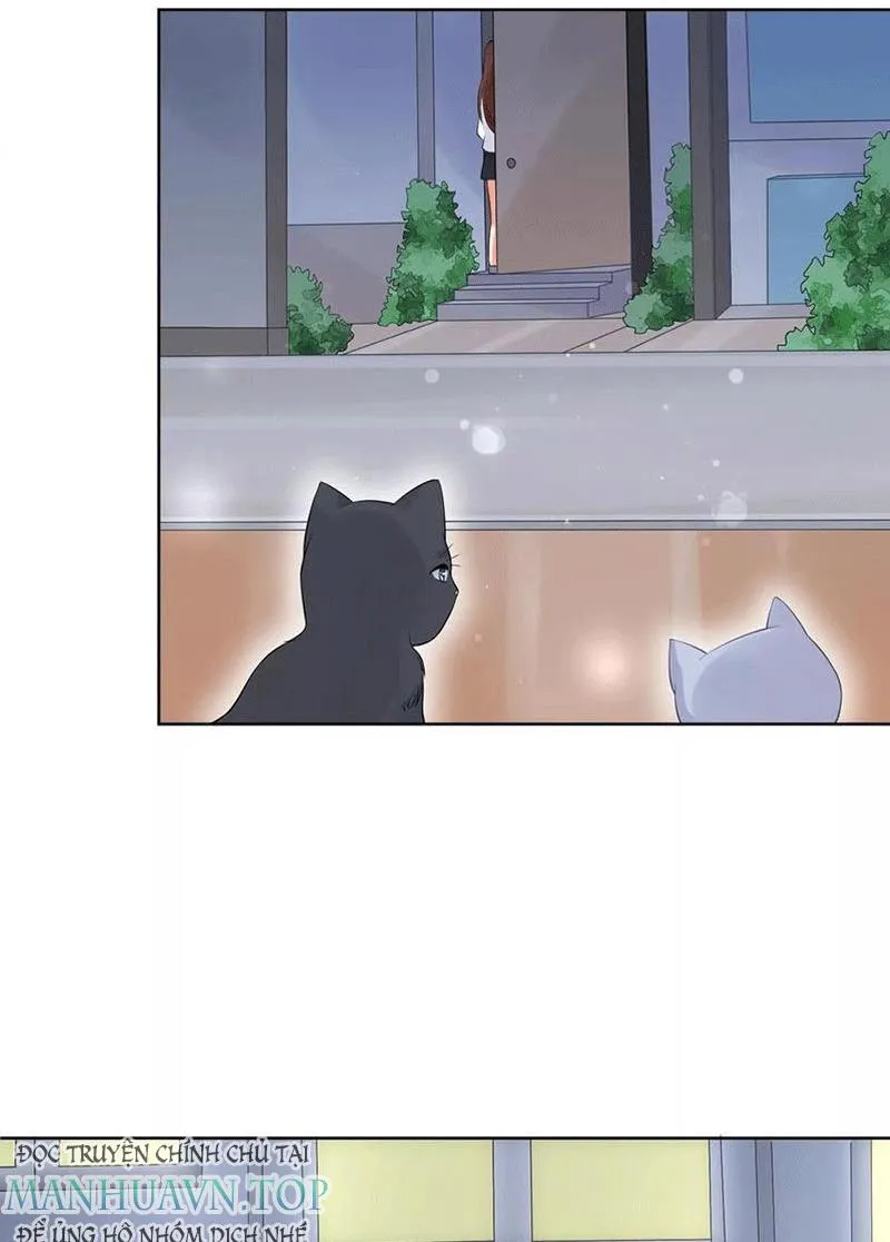 Bạn Cùng Bàn Của Tôi Nổi Tiếng Là Mèo Chapter 5 - Trang 43