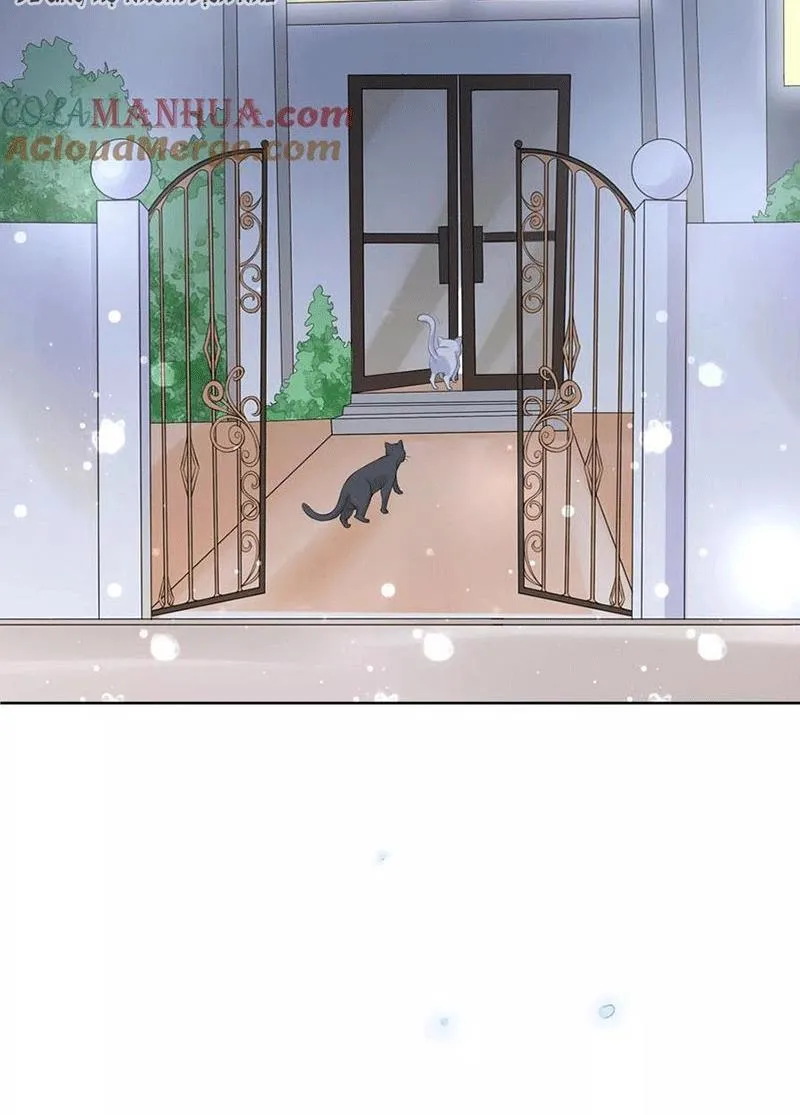 Bạn Cùng Bàn Của Tôi Nổi Tiếng Là Mèo Chapter 5 - Trang 44
