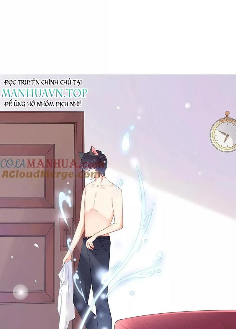 Bạn Cùng Bàn Của Tôi Nổi Tiếng Là Mèo Chapter 5 - Trang 46