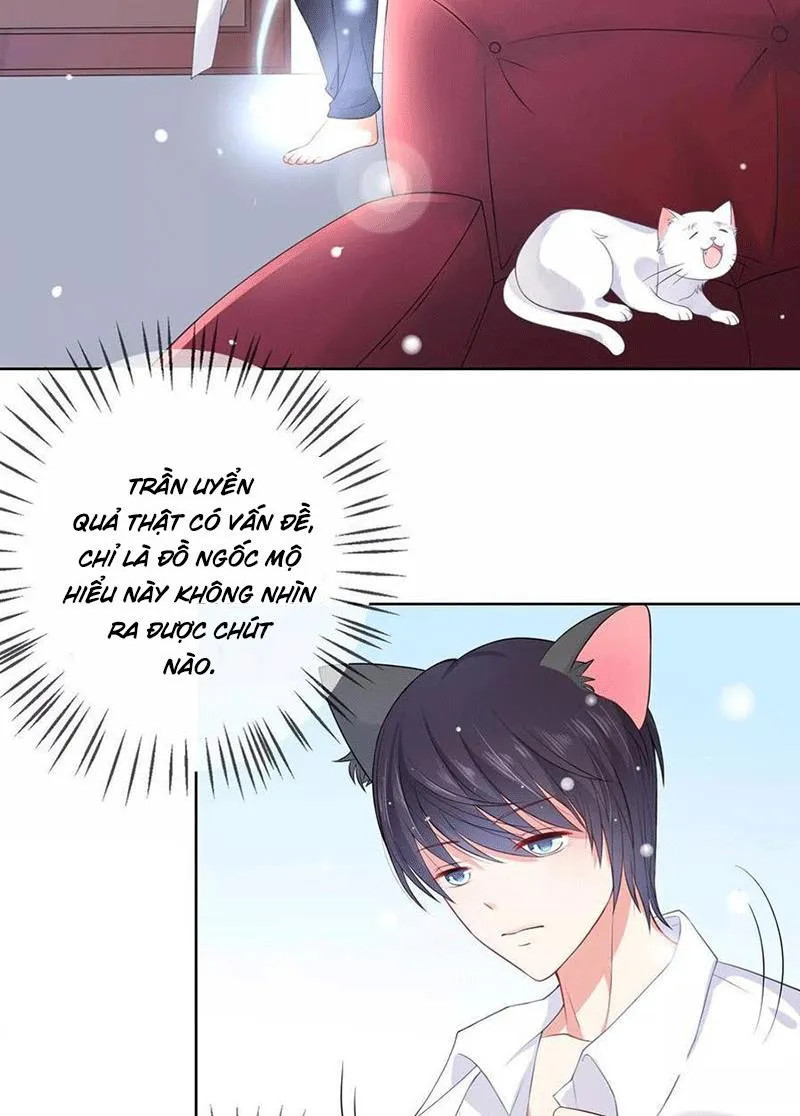 Bạn Cùng Bàn Của Tôi Nổi Tiếng Là Mèo Chapter 5 - Trang 47