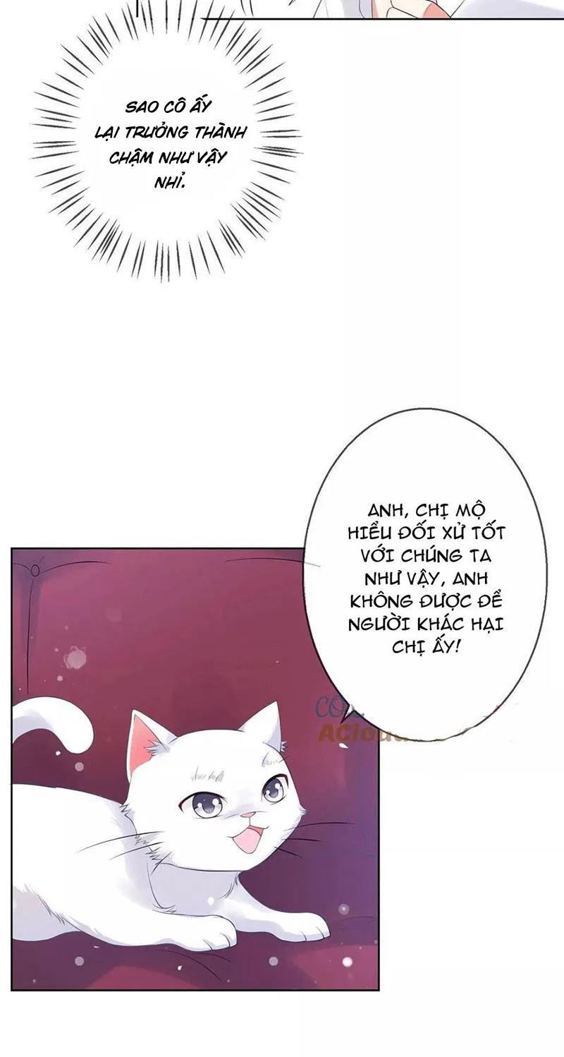 Bạn Cùng Bàn Của Tôi Nổi Tiếng Là Mèo Chapter 5 - Trang 48