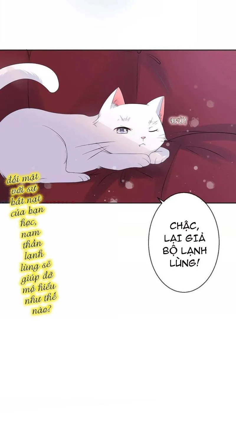 Bạn Cùng Bàn Của Tôi Nổi Tiếng Là Mèo Chapter 5 - Trang 50