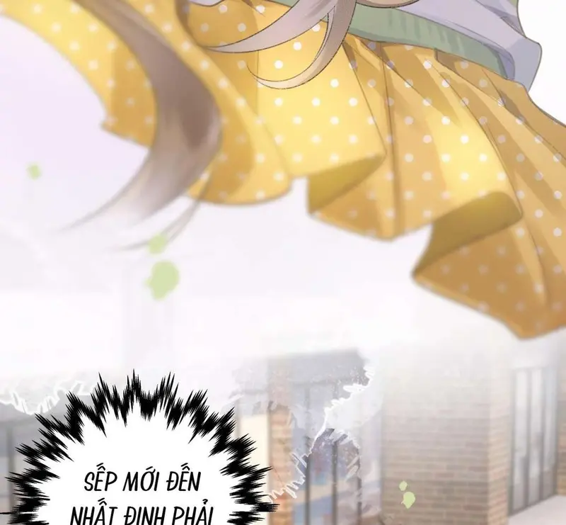 Bạn Gái Cũ Trở Thành Sếp Của Tôi - Pheromone Chapter 1 - Trang 11