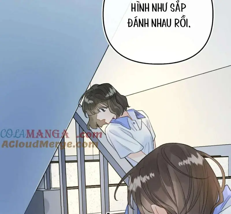 Bạn Gái Cũ Trở Thành Sếp Của Tôi - Pheromone Chapter 15 - Trang 15