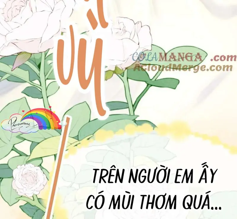 Bạn Gái Cũ Trở Thành Sếp Của Tôi - Pheromone Chapter 15 - Trang 37