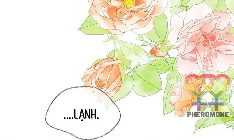 Bạn Gái Cũ Trở Thành Sếp Của Tôi - Pheromone Chapter 39 - Trang 23