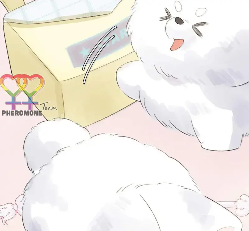 Bạn Gái Cũ Trở Thành Sếp Của Tôi - Pheromone Chapter 55 - Trang 41