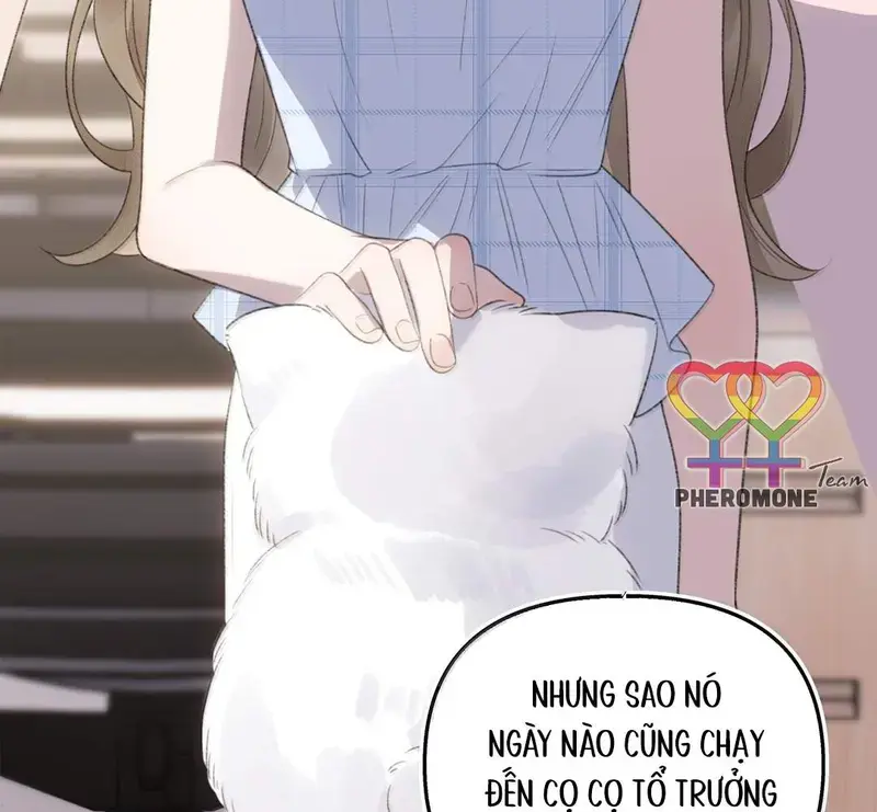 Bạn Gái Cũ Trở Thành Sếp Của Tôi - Pheromone Chapter 55 - Trang 46