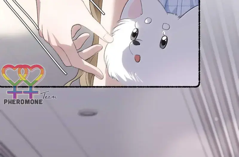 Bạn Gái Cũ Trở Thành Sếp Của Tôi - Pheromone Chapter 55 - Trang 5