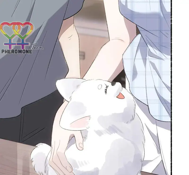Bạn Gái Cũ Trở Thành Sếp Của Tôi - Pheromone Chapter 55 - Trang 50