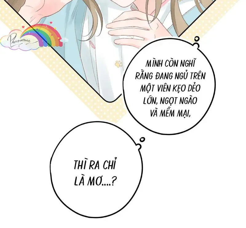 Bạn Gái Cũ Trở Thành Sếp Của Tôi - Pheromone Chapter 7 - Trang 20