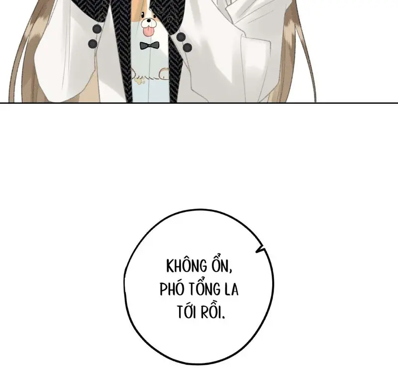 Bạn Gái Cũ Trở Thành Sếp Của Tôi - Pheromone Chapter 8 - Trang 12