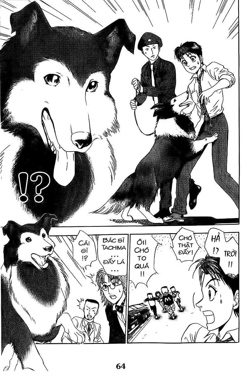 Bàn Tay Thần Sầu Teru Chapter 104 - Trang 16