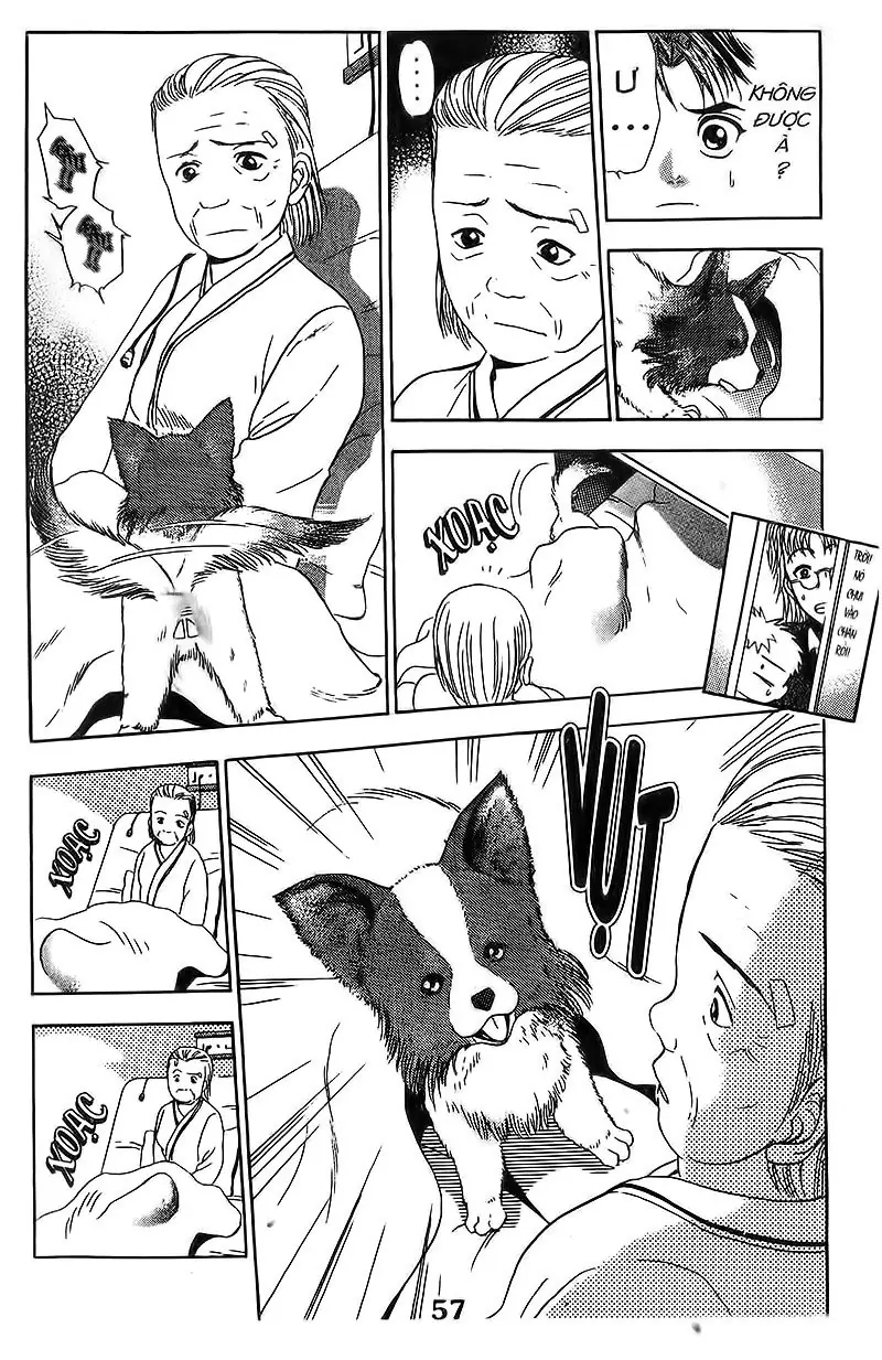 Bàn Tay Thần Sầu Teru Chapter 104 - Trang 9