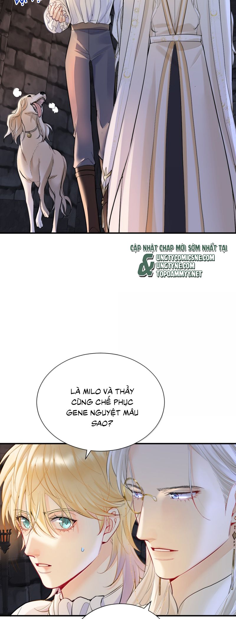 Bản Tình Ca Nụ Hôn Tù Ái Chapter 41 - Trang 3