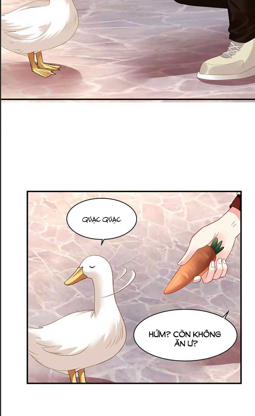 Bạn Trai 1/4 Của Tôi Chapter 41 - Trang 20