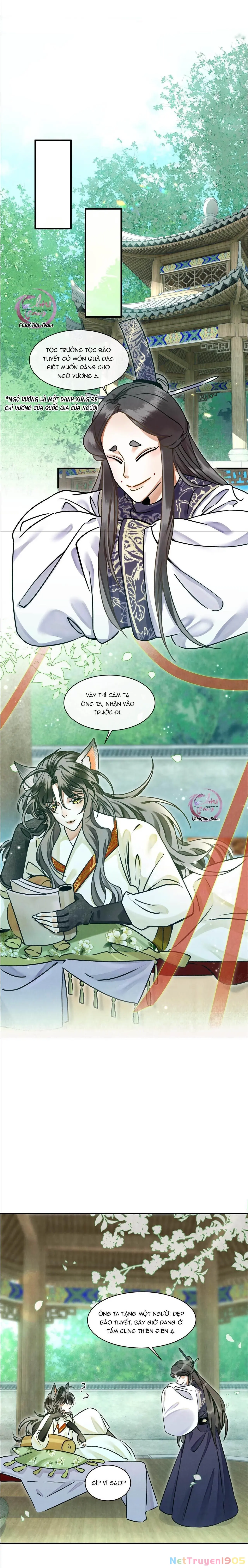 Báo Tuyết Thích Cắn Đuôi Chapter 0 - Trang 7