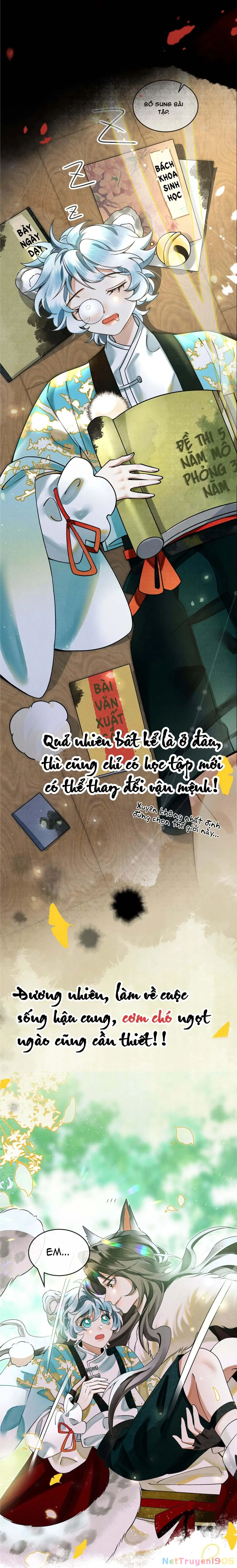 Báo Tuyết Thích Cắn Đuôi Chapter 2.1 - Trang 5