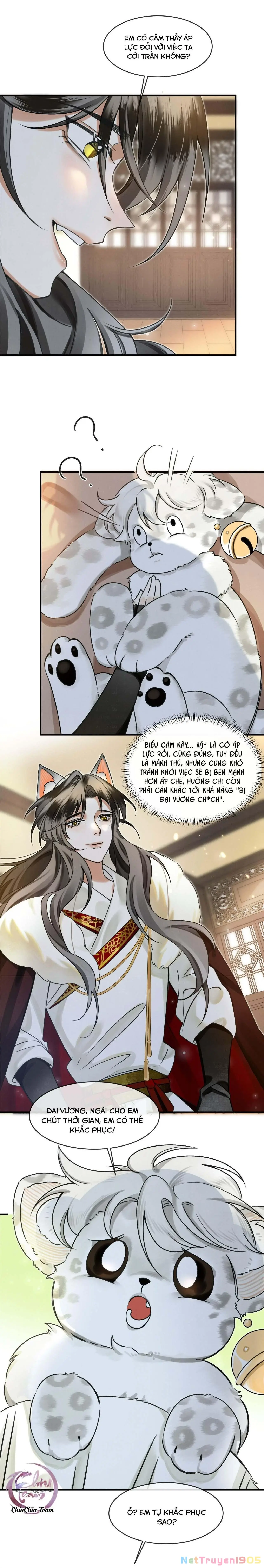 Báo Tuyết Thích Cắn Đuôi Chapter 2 - Trang 4