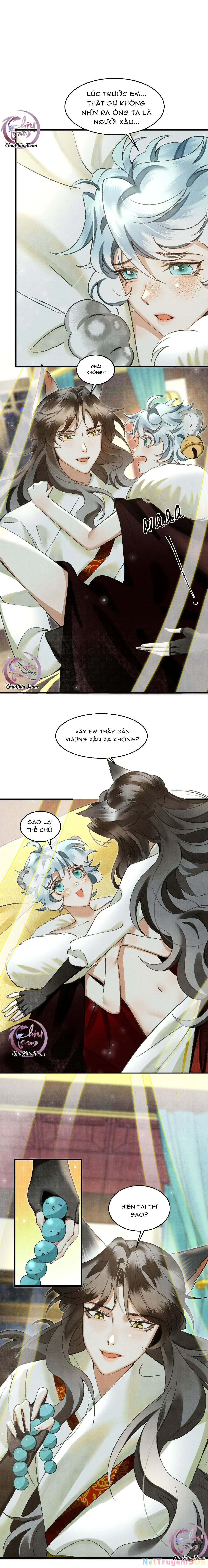 Báo Tuyết Thích Cắn Đuôi Chapter 23 - Trang 11