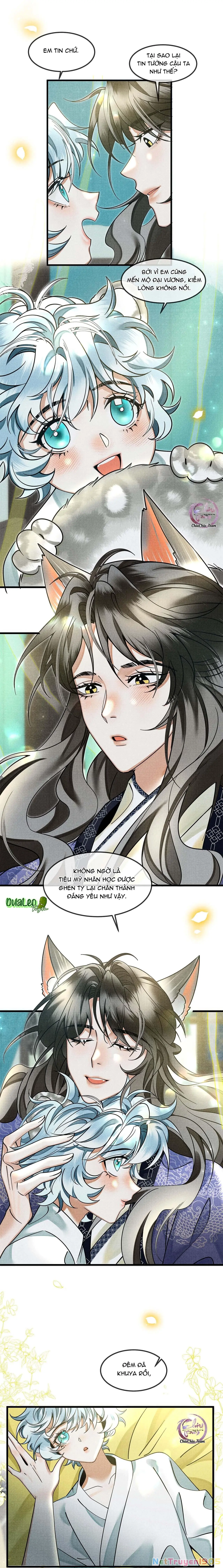 Báo Tuyết Thích Cắn Đuôi Chapter 27 - Trang 12