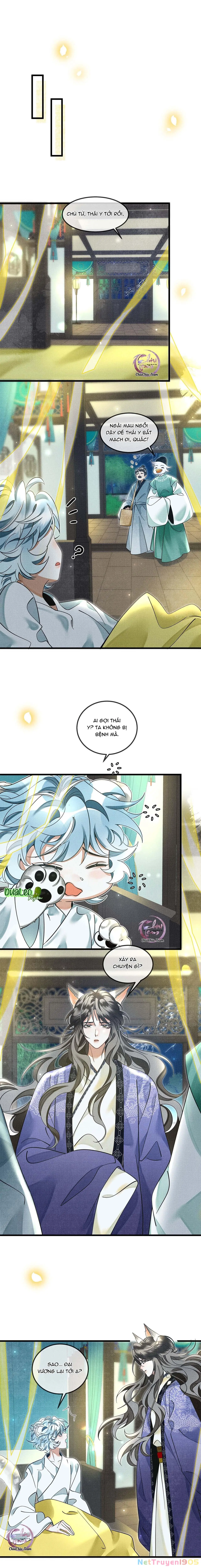 Báo Tuyết Thích Cắn Đuôi Chapter 27 - Trang 8