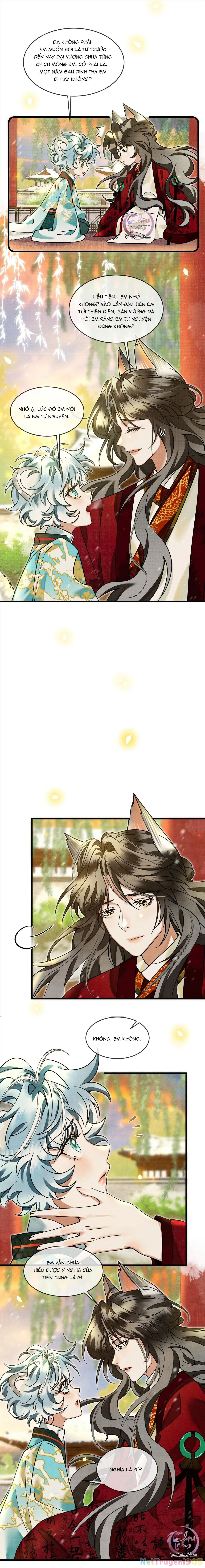 Báo Tuyết Thích Cắn Đuôi Chapter 29 - Trang 7