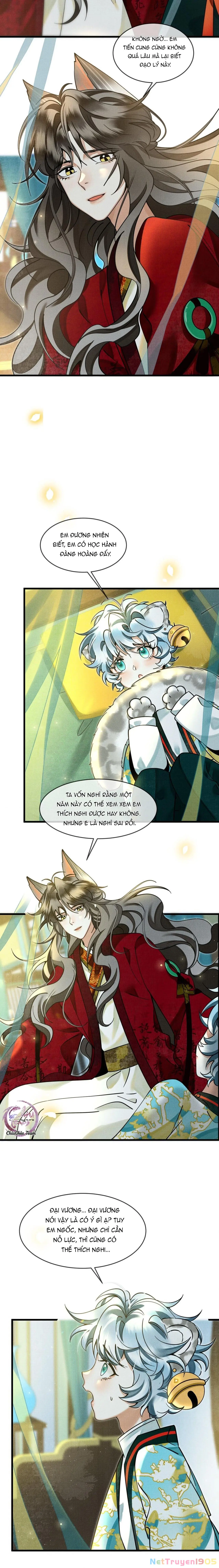 Báo Tuyết Thích Cắn Đuôi Chapter 31 - Trang 7