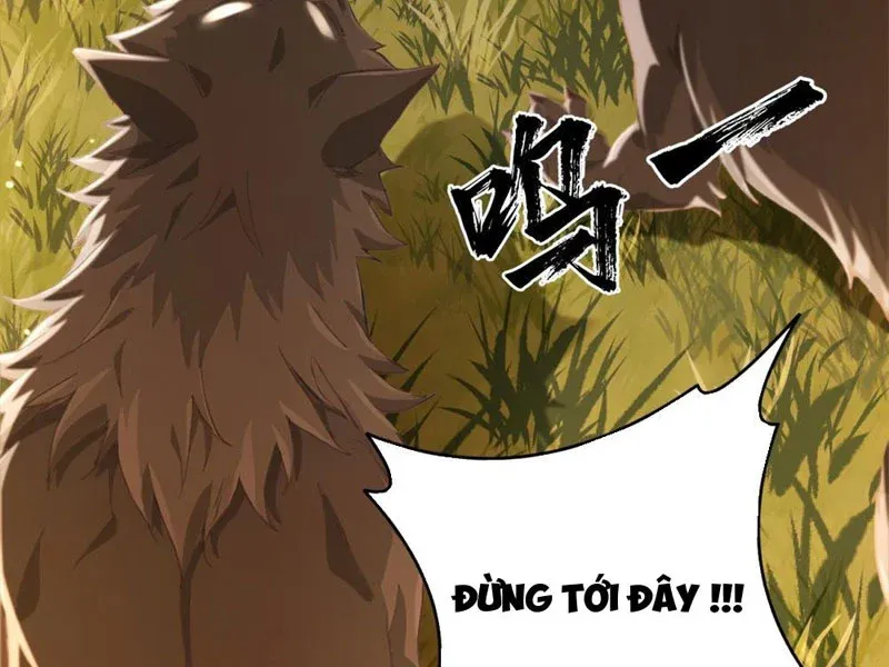 Bắt Đầu Ta Đã Có Vô Hạn Kim Sắc Chapter 1 - Trang 7