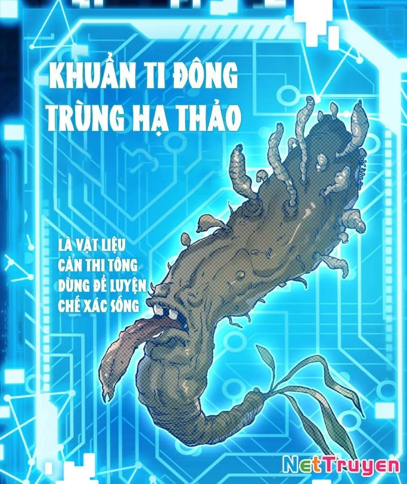 Bắt Đầu Tu Chân Từ Việc Trồng Ra Nữ Đế Yêu Tộc Chapter 5 - Trang 16