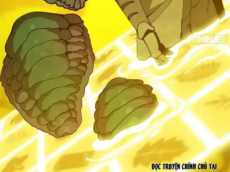 Bắt Đầu Từ Việc Trùng Sinh Thành Niêm Khuẩn Chapter 37 - Trang 7