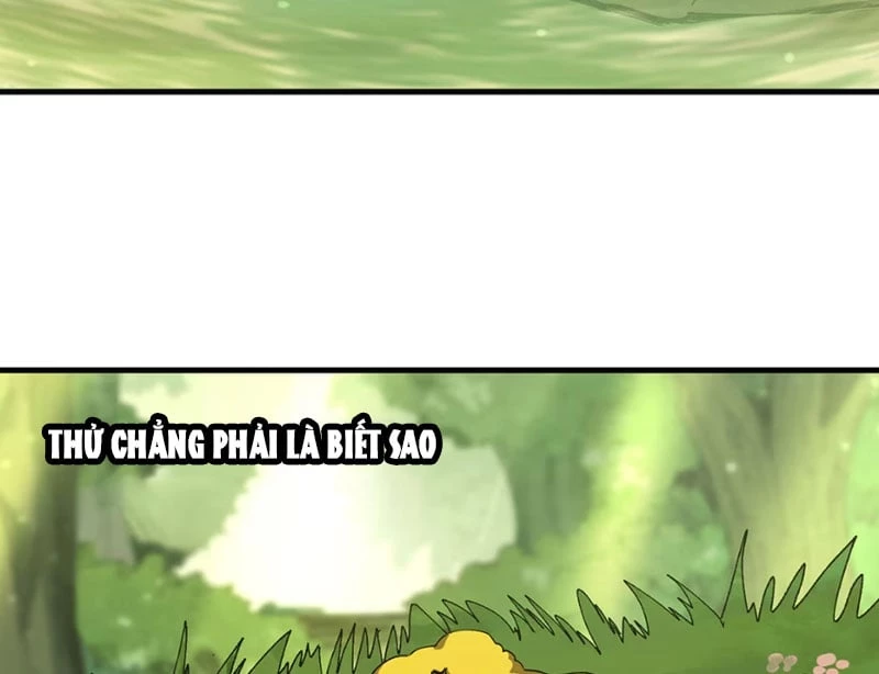Bắt Đầu Từ Việc Trùng Sinh Thành Niêm Khuẩn Chapter 5 - Trang 13