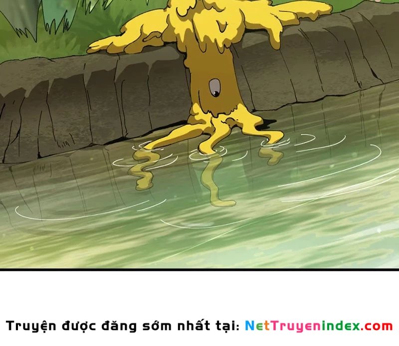 Bắt Đầu Từ Việc Trùng Sinh Thành Niêm Khuẩn Chapter 5 - Trang 14