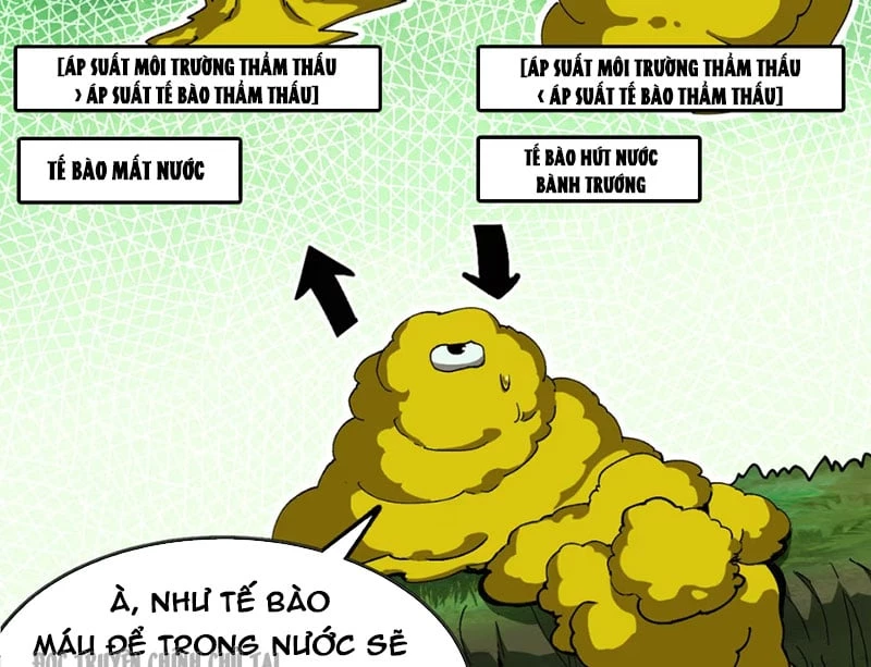 Bắt Đầu Từ Việc Trùng Sinh Thành Niêm Khuẩn Chapter 5 - Trang 19