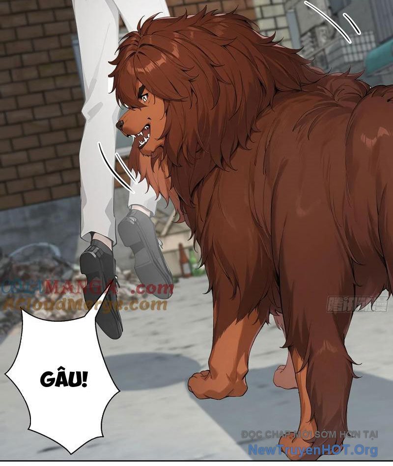 Bắt đầu Vô địch Từ Trúc Cơ Chapter 12 - Trang 23