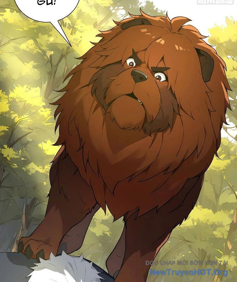 Bắt đầu Vô địch Từ Trúc Cơ Chapter 15 - Trang 49