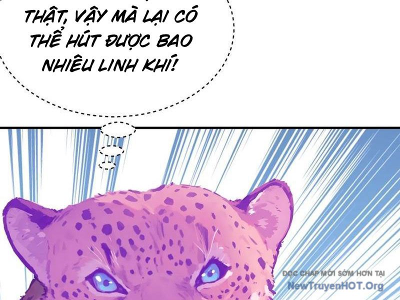 Bắt đầu Vô địch Từ Trúc Cơ Chapter 29 - Trang 14