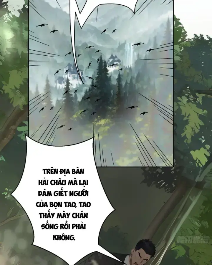 Bắt đầu Vô địch Từ Trúc Cơ Chapter 4 - Trang 3