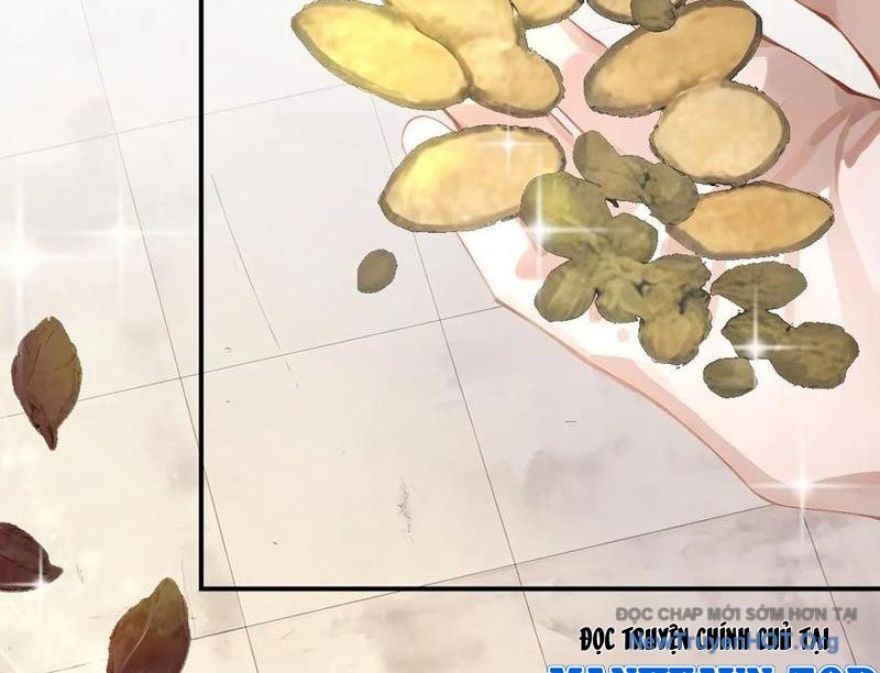 Bắt đầu Vô địch Từ Trúc Cơ Chapter 46 - Trang 41