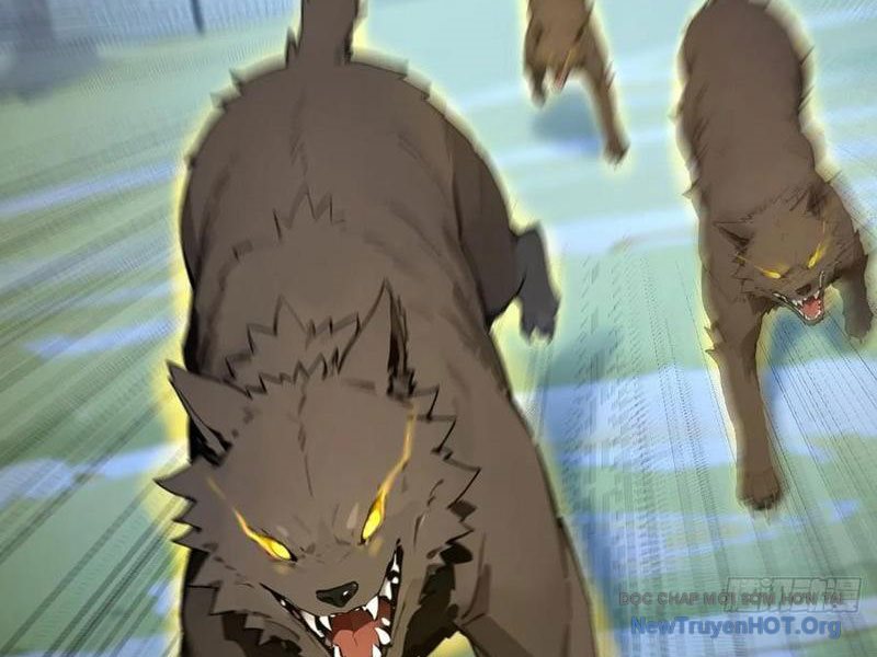 Bắt đầu Vô địch Từ Trúc Cơ Chapter 51 - Trang 18