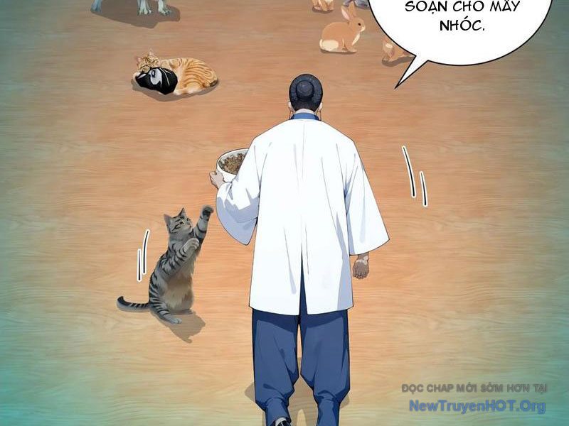Bắt đầu Vô địch Từ Trúc Cơ Chapter 70 - Trang 18