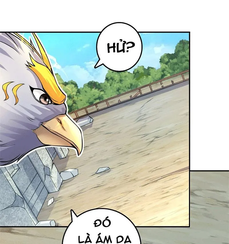 Bắt Đầu Với Kiếm Vực, Ta lặng lẽ tu luyện thành kiếm thần Chapter 5 - Trang 32