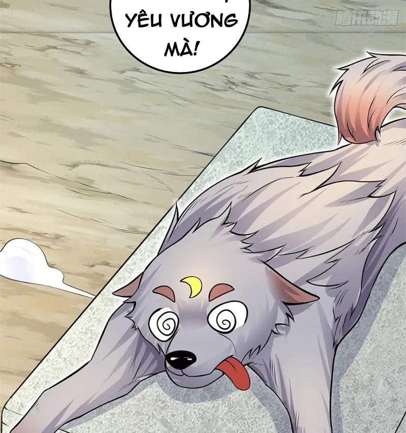 Bắt Đầu Với Kiếm Vực, Ta lặng lẽ tu luyện thành kiếm thần Chapter 5 - Trang 33