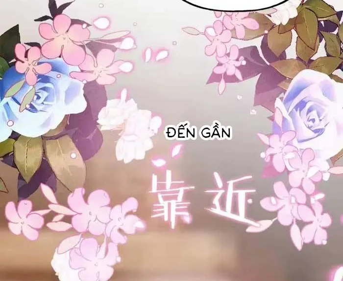 Bệ Hạ, Xin Hãy Ghét Ta Chapter 10 - Trang 10