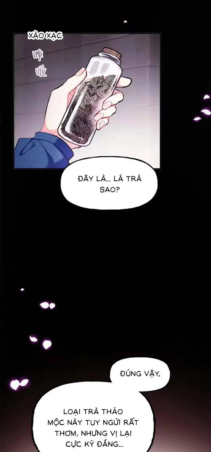 Bệ Hạ, Xin Hãy Ghét Ta Chapter 13 - Trang 13