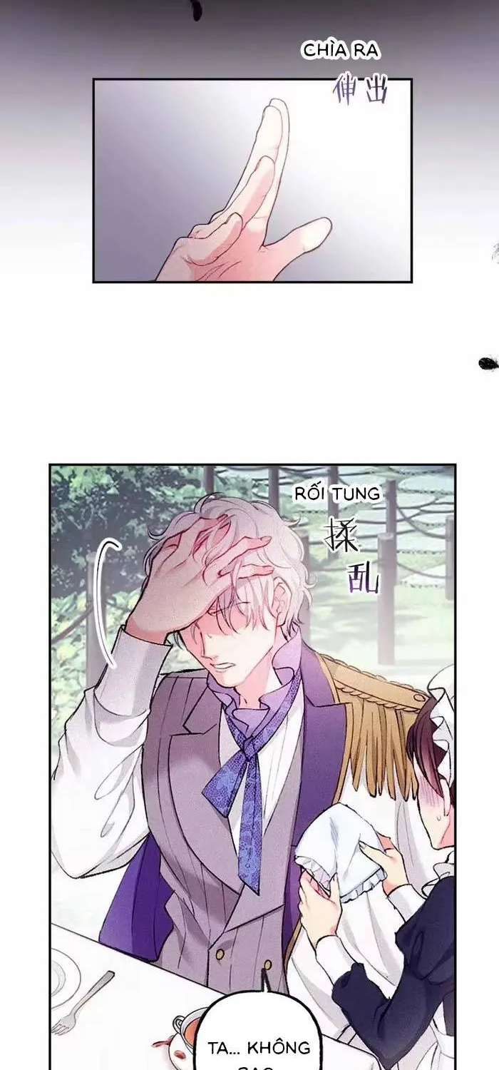 Bệ Hạ, Xin Hãy Ghét Ta Chapter 13 - Trang 5