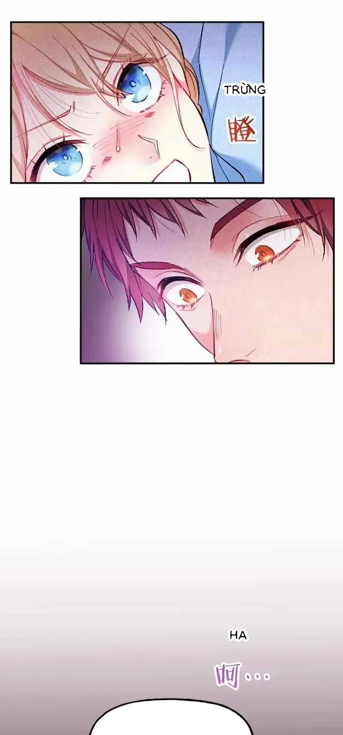 Bệ Hạ, Xin Hãy Ghét Ta Chapter 18 - Trang 7