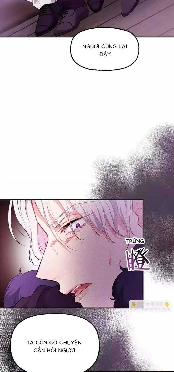 Bệ Hạ, Xin Hãy Ghét Ta Chapter 19 - Trang 13