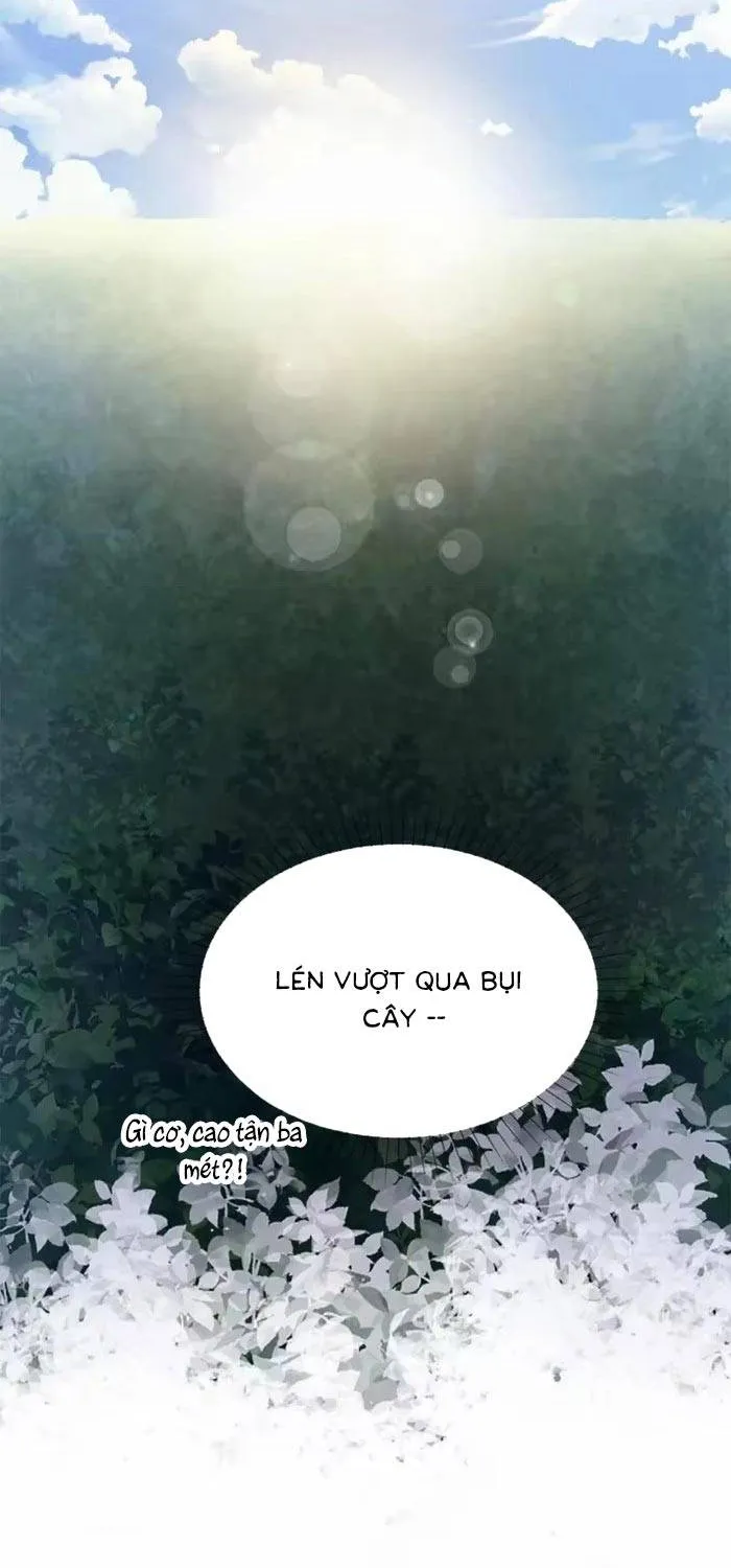 Bệ Hạ, Xin Hãy Ghét Ta Chapter 28 - Trang 12